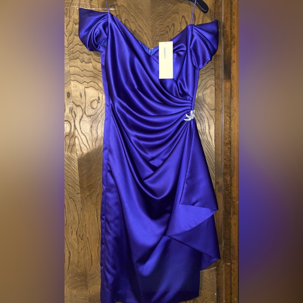 Clifford Michael size 14 purple dress with sparkly pin in it